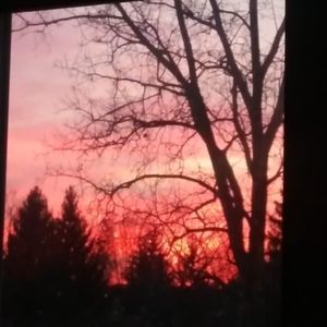 Meet your Posher, Shelly